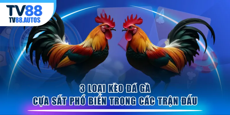 3 loại kèo đá gà cựa sắt phổ biến trong các trận đấu