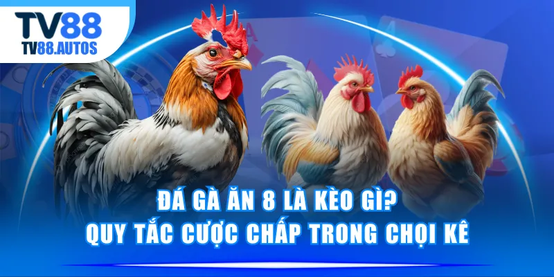 đá gà ăn 8