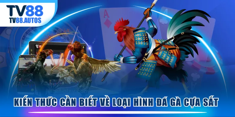Kiến thức cần biết về loại hình đá gà cựa sắt