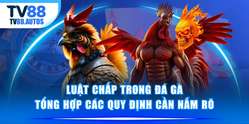 luật chấp trong đá gà