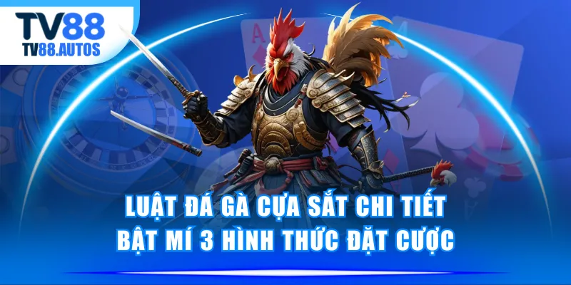 đá gà cựa sắt