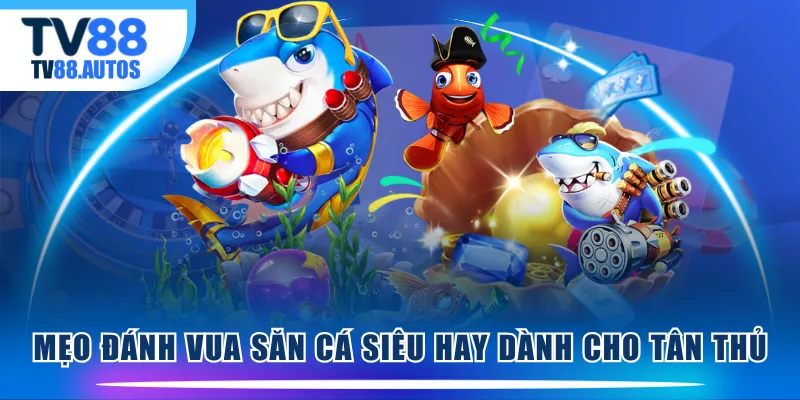 Mẹo đánh Vua Săn Cá siêu hay dành cho tân thủ 