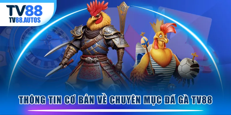 Thông tin cơ bản về chuyên mục Đá Gà TV88