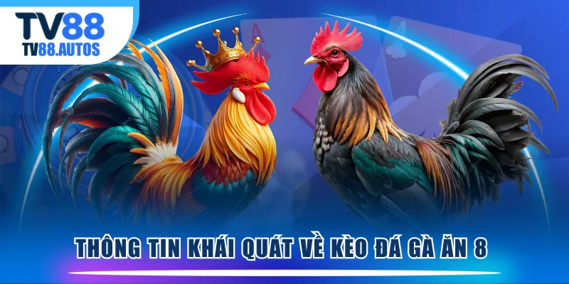 Thông tin khái quát về kèo đá gà ăn 8