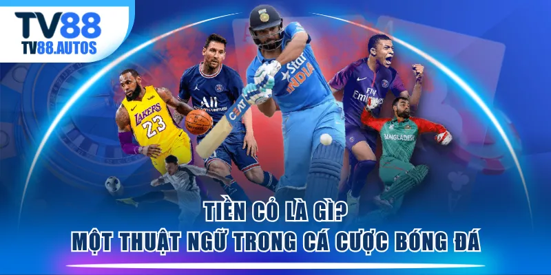 Tiền cỏ là gì? Một thuật ngữ trong cá cược bóng đá