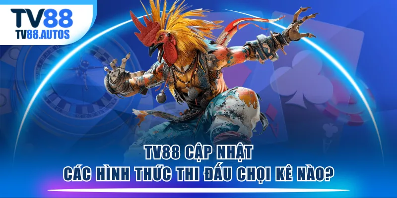 TV88 cập nhật các hình thức thi đấu chọi kê nào?