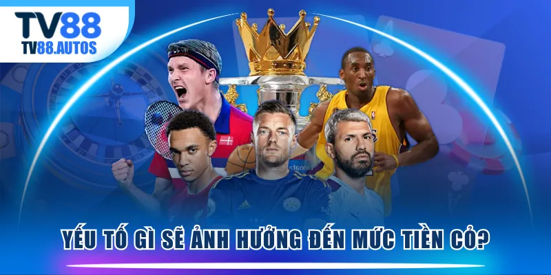 Yếu tố gì sẽ ảnh hưởng đến mức tiền cỏ?